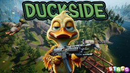 duckside.jpg